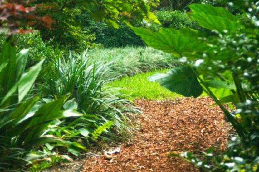 
Pine bark mulch looks natural, and helps the ground to retain moisture as well as...