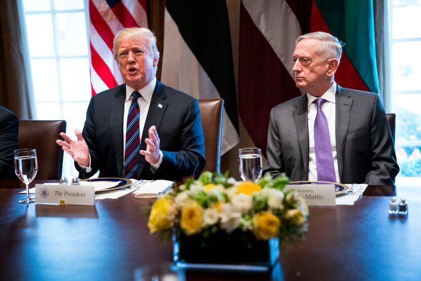 Defense Secretary Jim Mattis looks on as President Donald Trump speaks during a working...