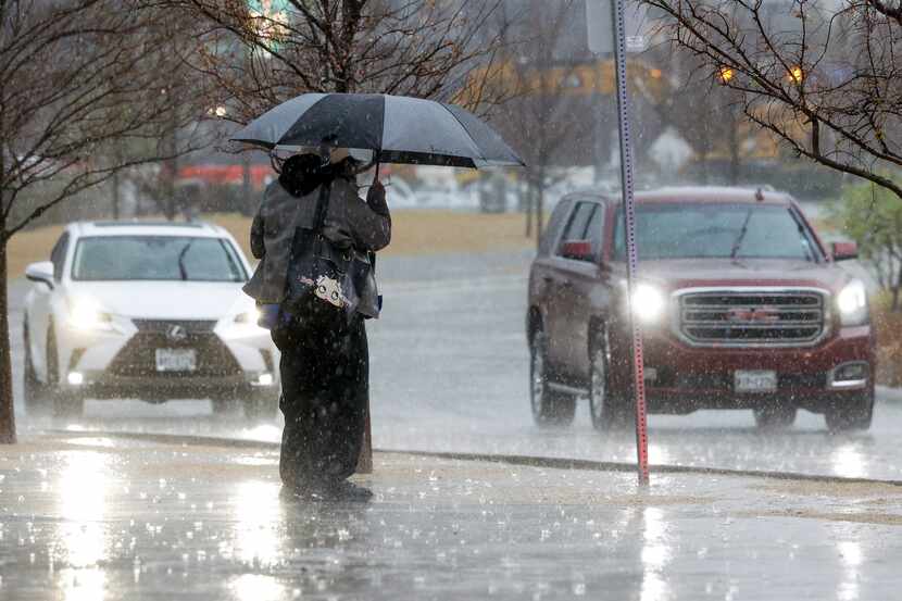 A person shields themself with an umbrella as they wait for a DART bus in downtown Dallas.
