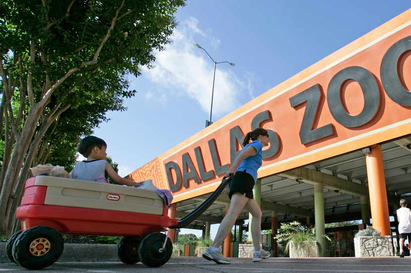 Situaciones fuera de lo común han estado ocurriendo en el Zoológico de Dallas.
