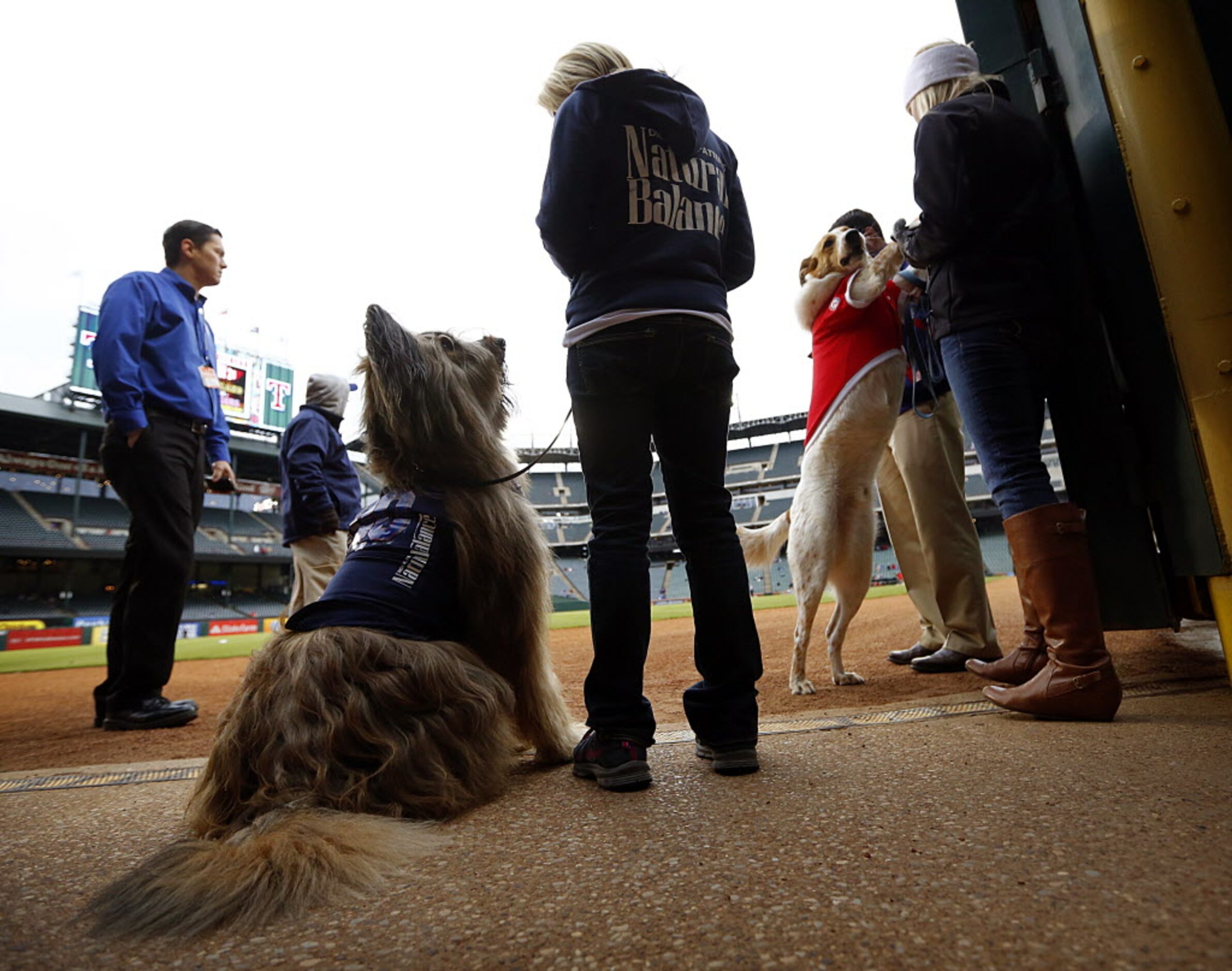 Norman the Scooter Dog, a French briard sheepdog, and his owner Karen Cobb of Atlanta, left,...