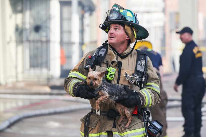 A firefighter rescued a dog at an apartment complex fire in the 7500 block of East Grand...