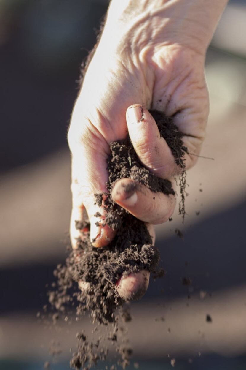Building life in the soil is a key part of organic gardening.