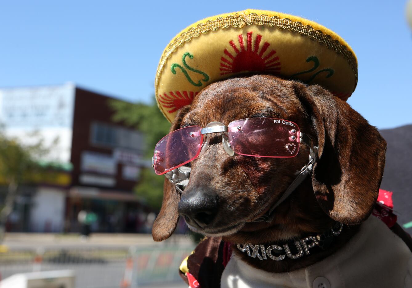 Dixicupcup broke out the shades for Dallas Cinco de Mayo festivities. Scroll through to see...