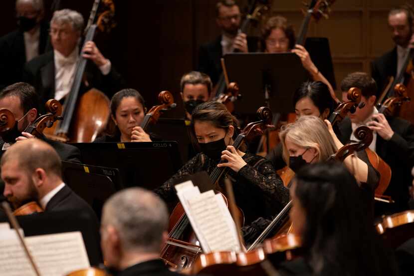 Members of the viola, cello and double bass sections in the Dallas Symphony Orchestra...