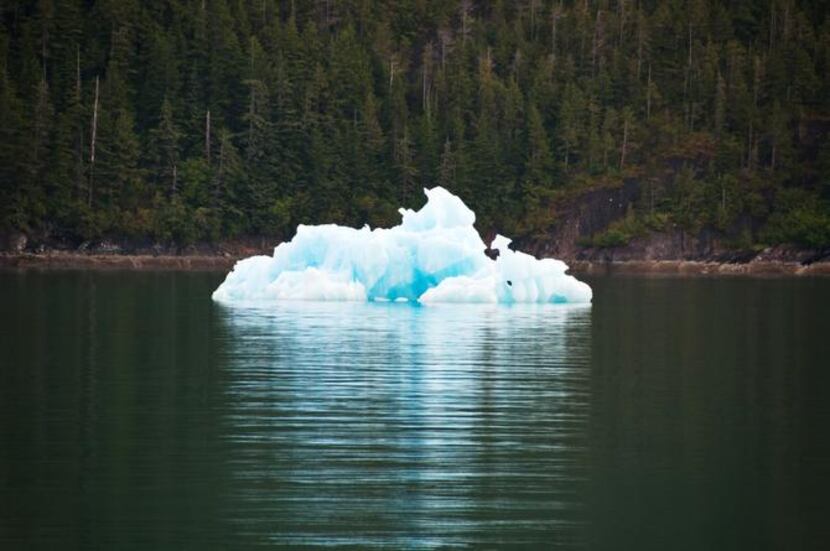 
Like clouds, icebergs inspire creative interpretations of their fantastical shapes. 
