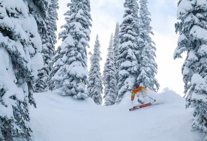 Whitefish Mountain Resort in northwestern Montana boasts 3,000 acres and is rarely crowded.