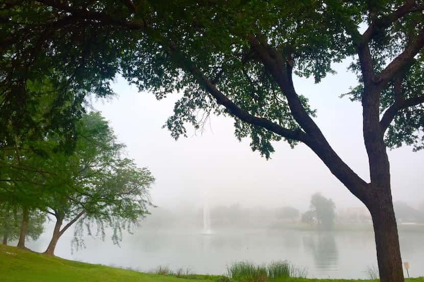  Fog shrouded Kidd Springs Park and other parts of Dallas early Friday. (David Woo/Staff...