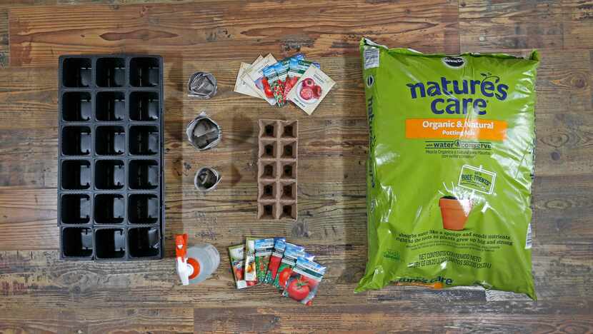 The essentials for starting tomato seeds indoors