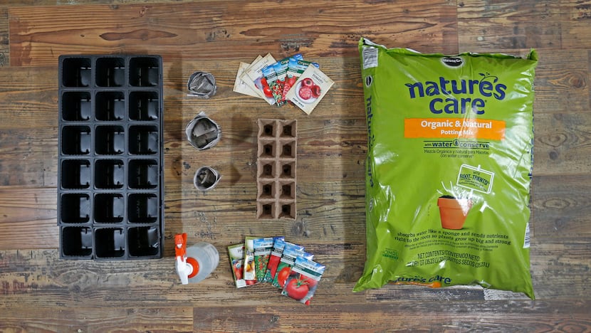 The essentials for starting tomato seeds indoors