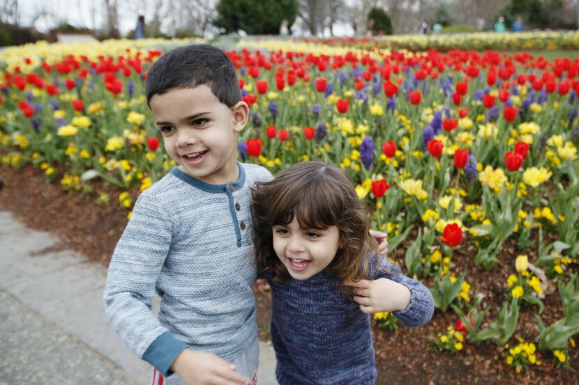 Ziad Awad, 5, left, and Zaina Awad, 3, check out the Dallas Blooms Festival at the Dallas...