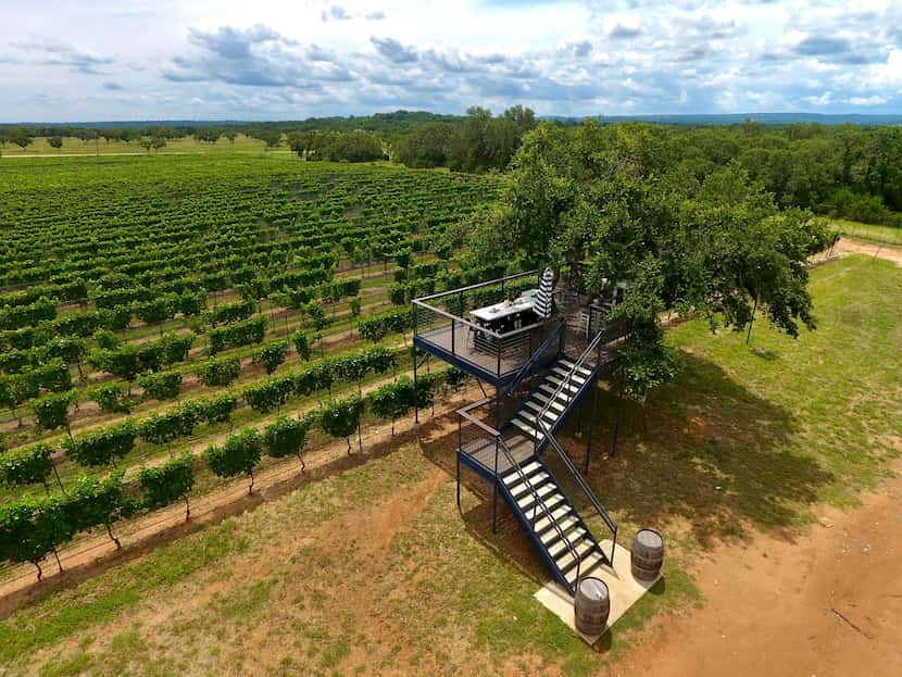 Sandy Road Vineyards in Johnson City offers wine tastings in a tree house.