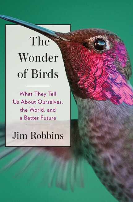 The Wonder of Birds, by Jim Robbins.