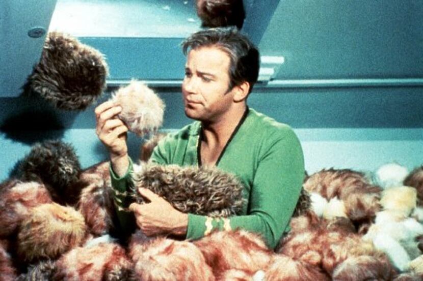 James Kirk, portrayed by actor William Shatner, is surrounded by 'tribbles' during "The...