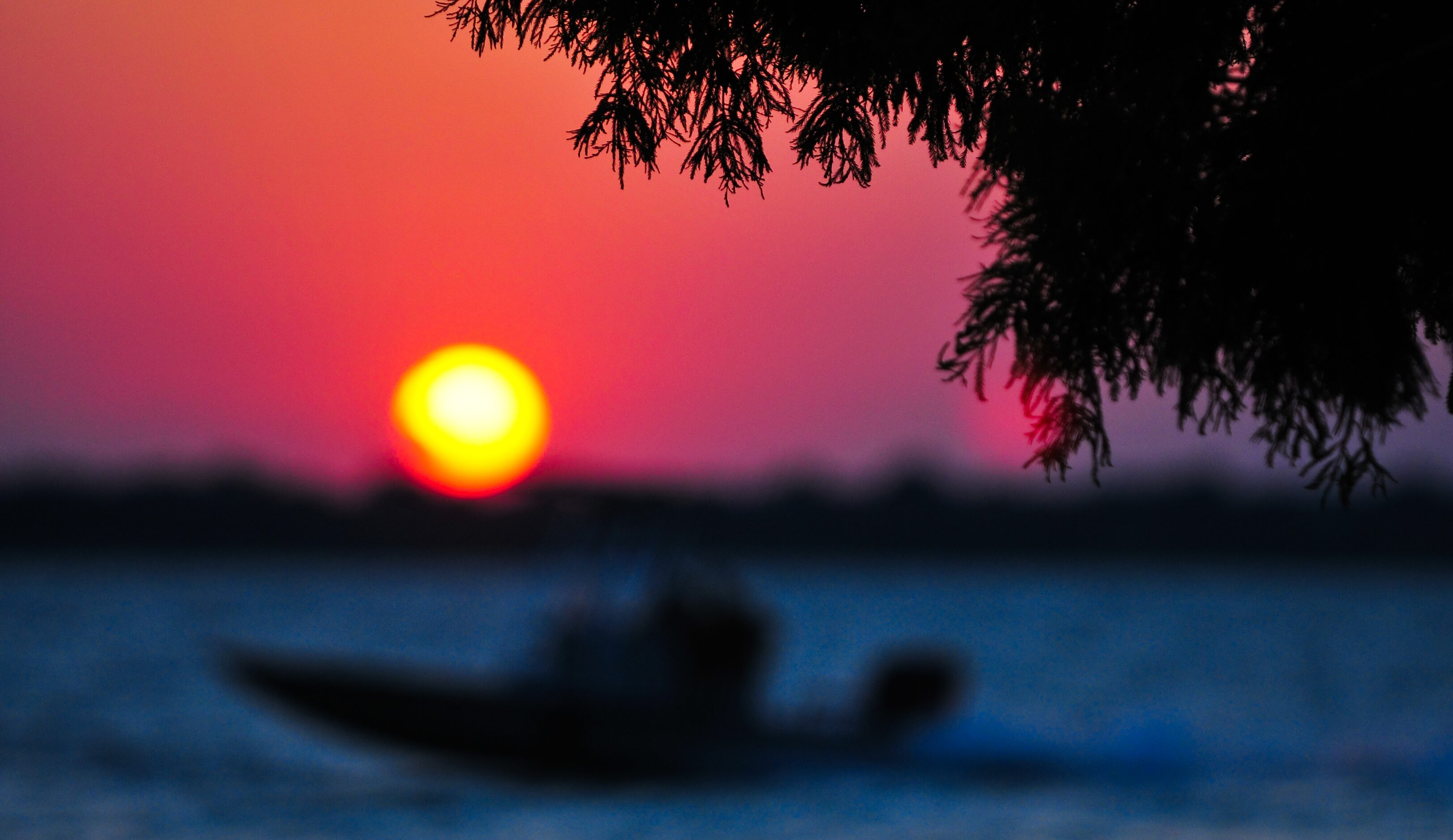 "Sunset Fishing" by Peter Roos sets a serene scene at Lake Lavon.