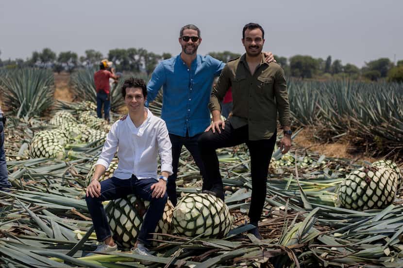 David Carballido, Jim McDermott y David "Lalo" González en un campo de agave en los Altos de...