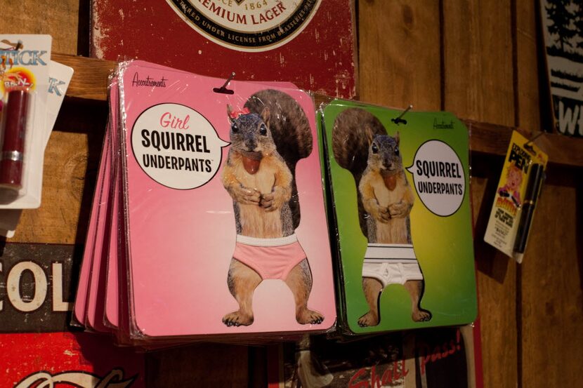 Here's what the well-dress squirrel is wearing this season.