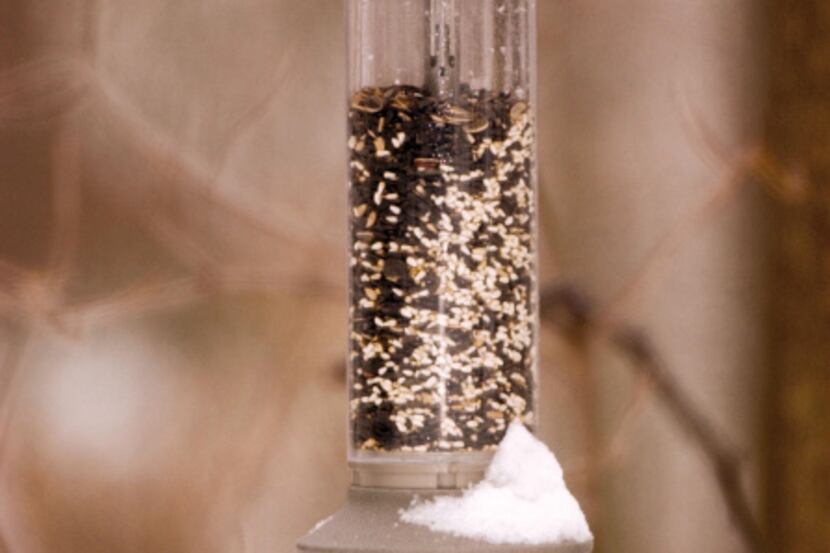 The Eliminator bird feeder from Wild Birds Unlimited is designed to eliminate seed access to...