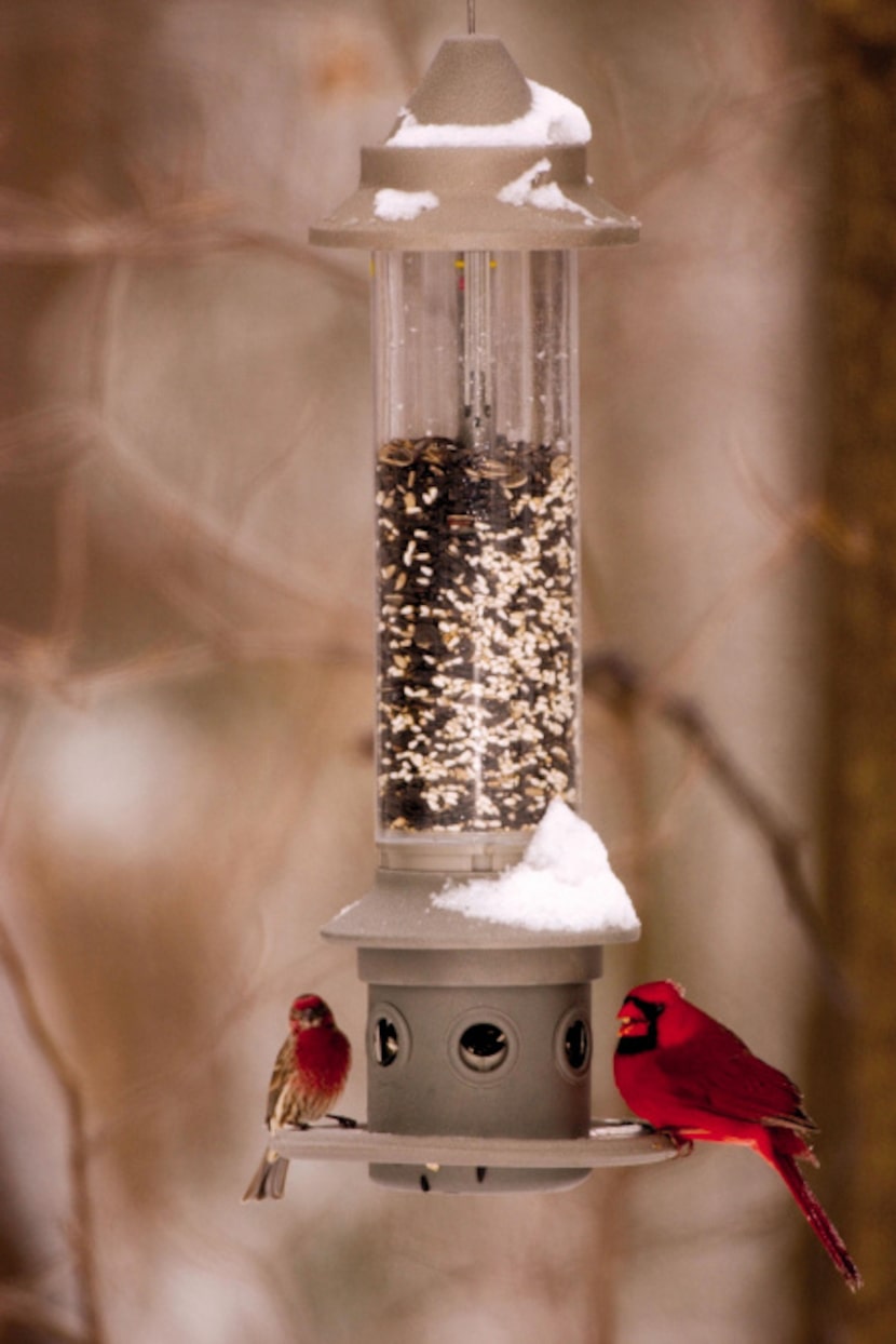 The Eliminator bird feeder from Wild Birds Unlimited is designed to eliminate seed access to...