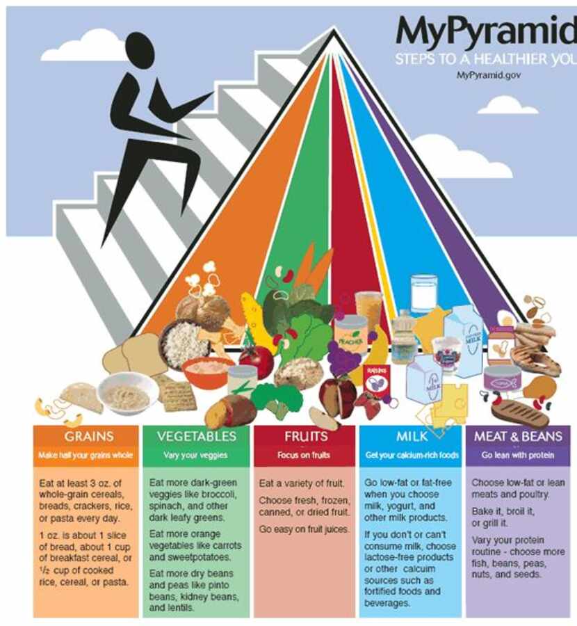 
In 2005, the government introduced the My Pyramid Food Guidance System, which included a...