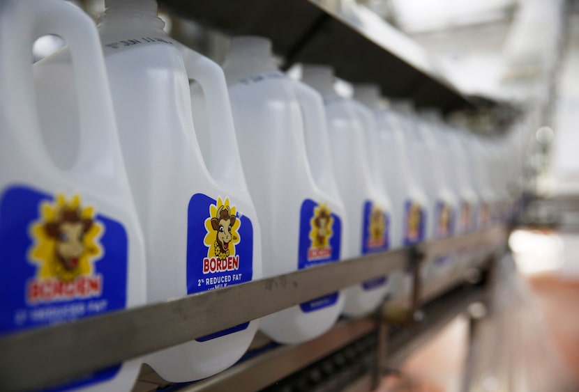 Empty bottles of Borden 2% reduced fat milk bottles make their way through the bottling line...