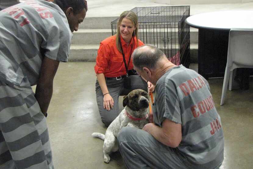 Two Dallas County inmates interact with Diamond, one of the five dogs from Prairie Paws...