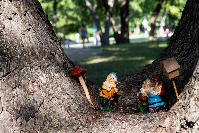 Garden gnomes placed along Coombs Creek Trail in the Stevens Park neighborhood in Dallas.
