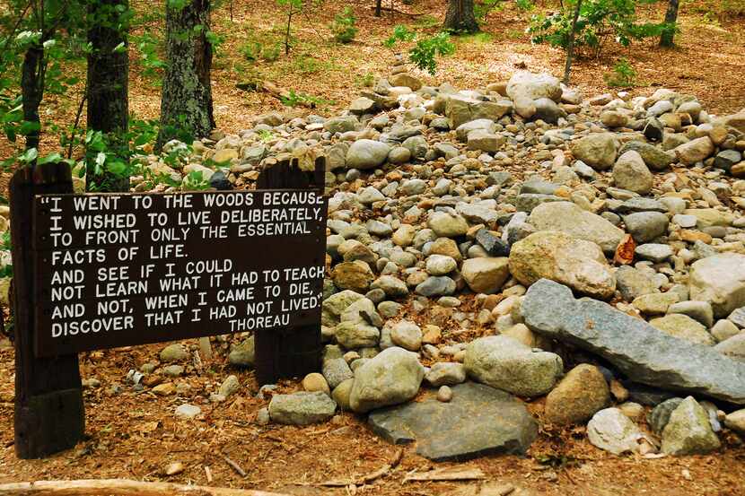 A wooden marker denotes the site of Henry David Thoreau's cabin in Walden Pond, where he...