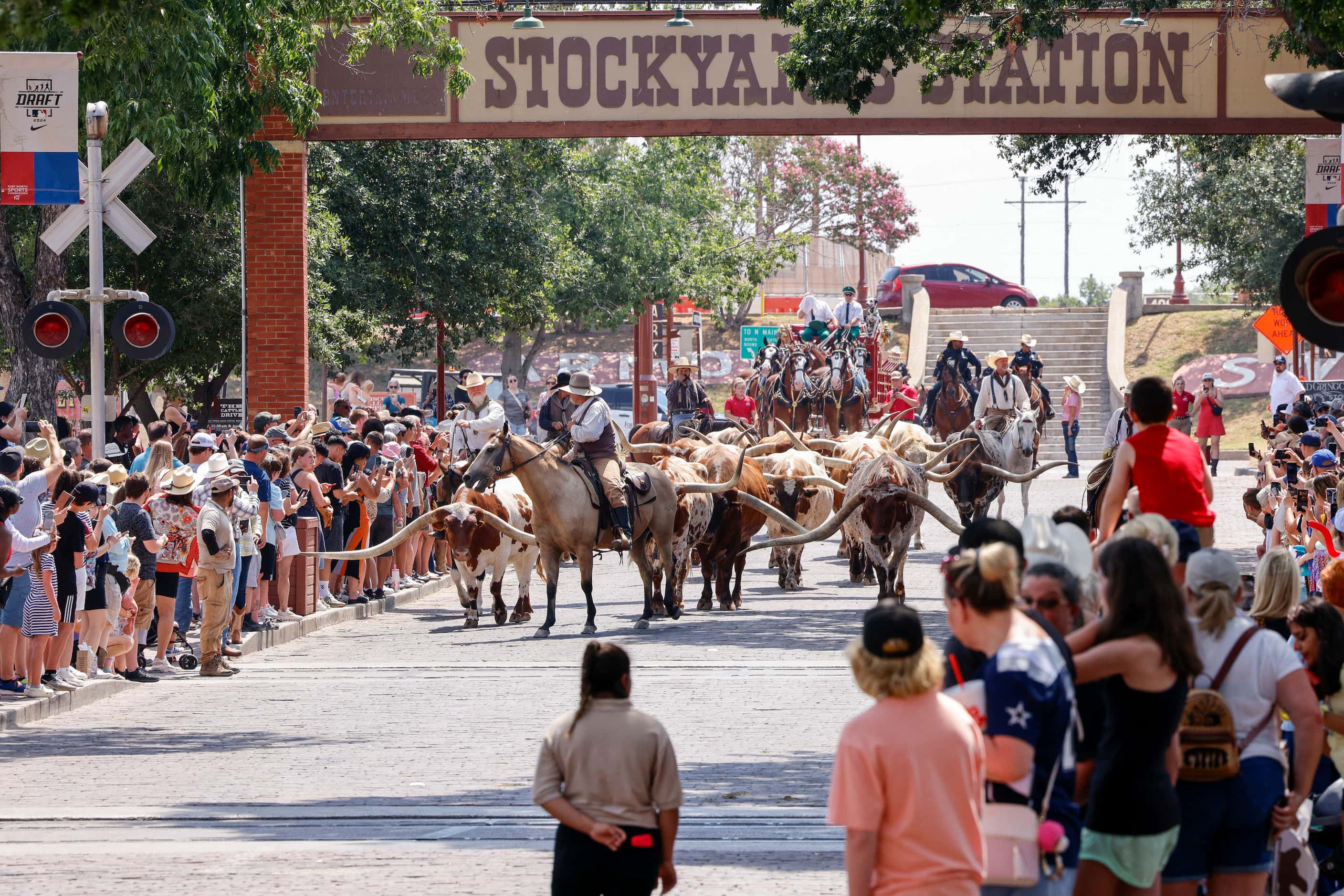 People gather to watch as The Fort Worth Herd and the Budweiser Clydesdales march along East...