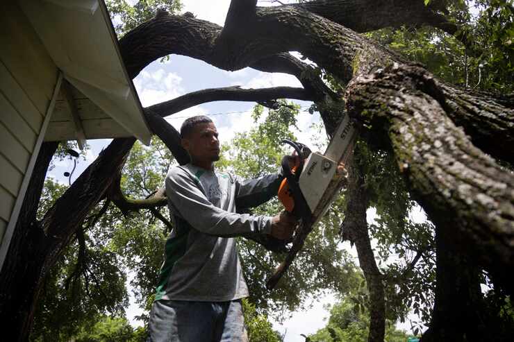 Neighbor Mario Cantero helps remove a tree resting on Jose Ibarra’s home after it fell...