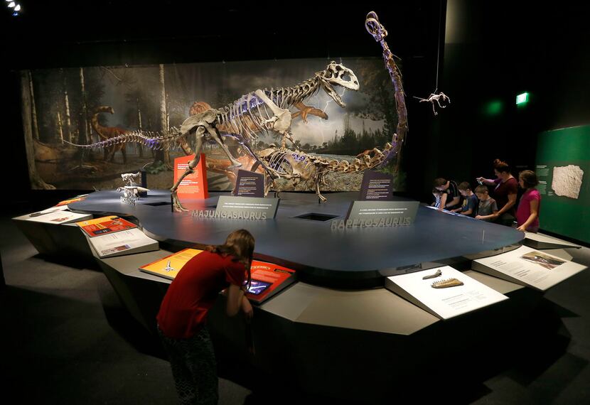 Visitors use interactive screens next to full-sized skeletons of dinosaur during a media...