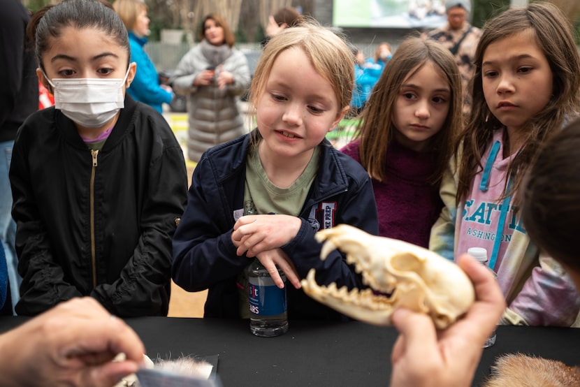 From left: Frida Ipina, 9; Roise Martin, 8; and Gemma Kramer, 8, of Florida; with Karman...