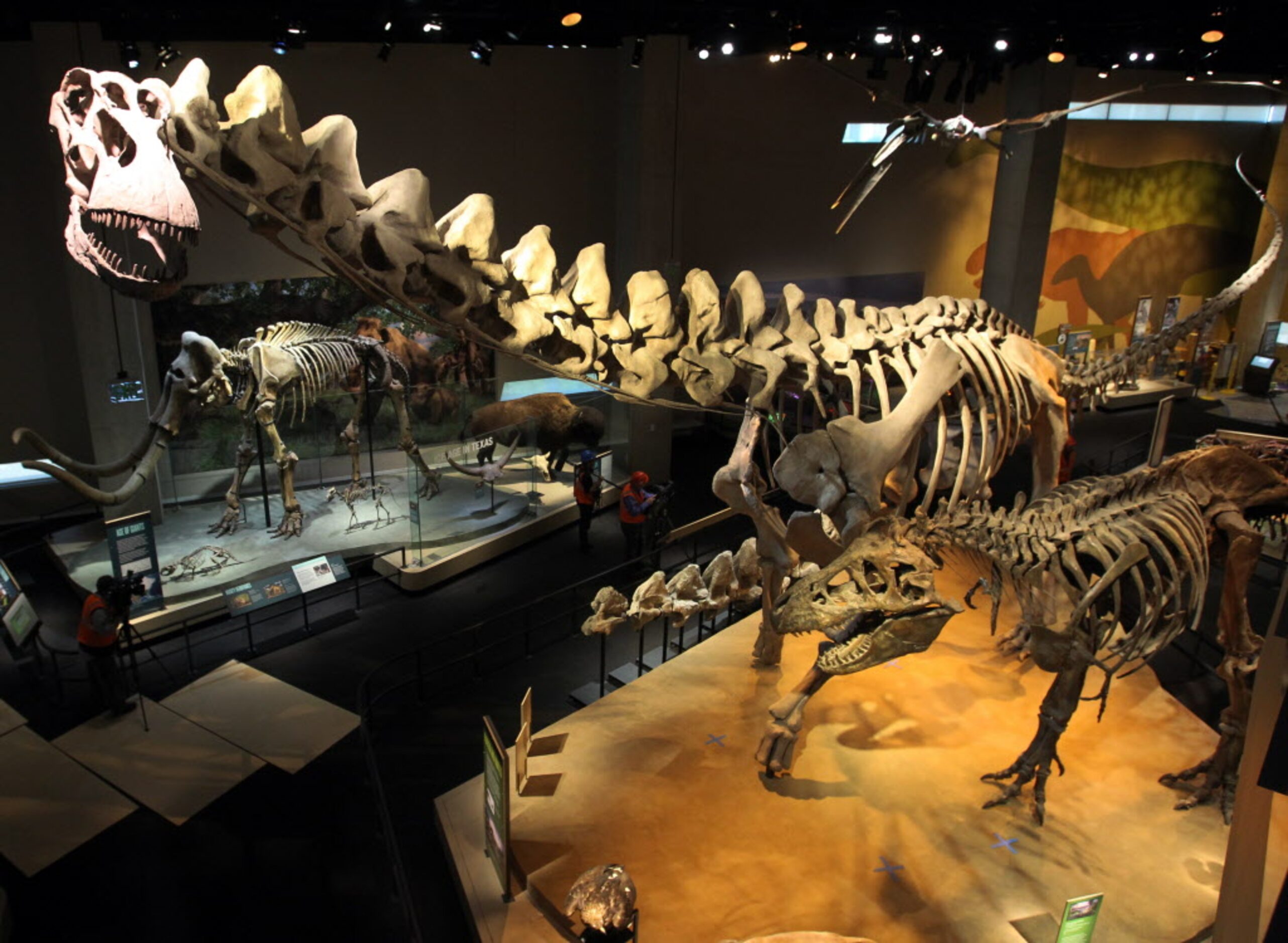 The main dinosaur exhibit in the T. Boone Pickens Life Then and Now Hall at the Perot Museum...