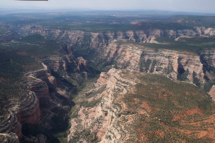 Arch Canyon is part of Bears Ears National Monument in southeastern Utah.