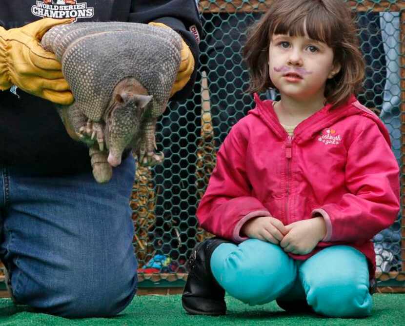 
Annabella Thompson, 3, waits to compete in an armadillo race. 
