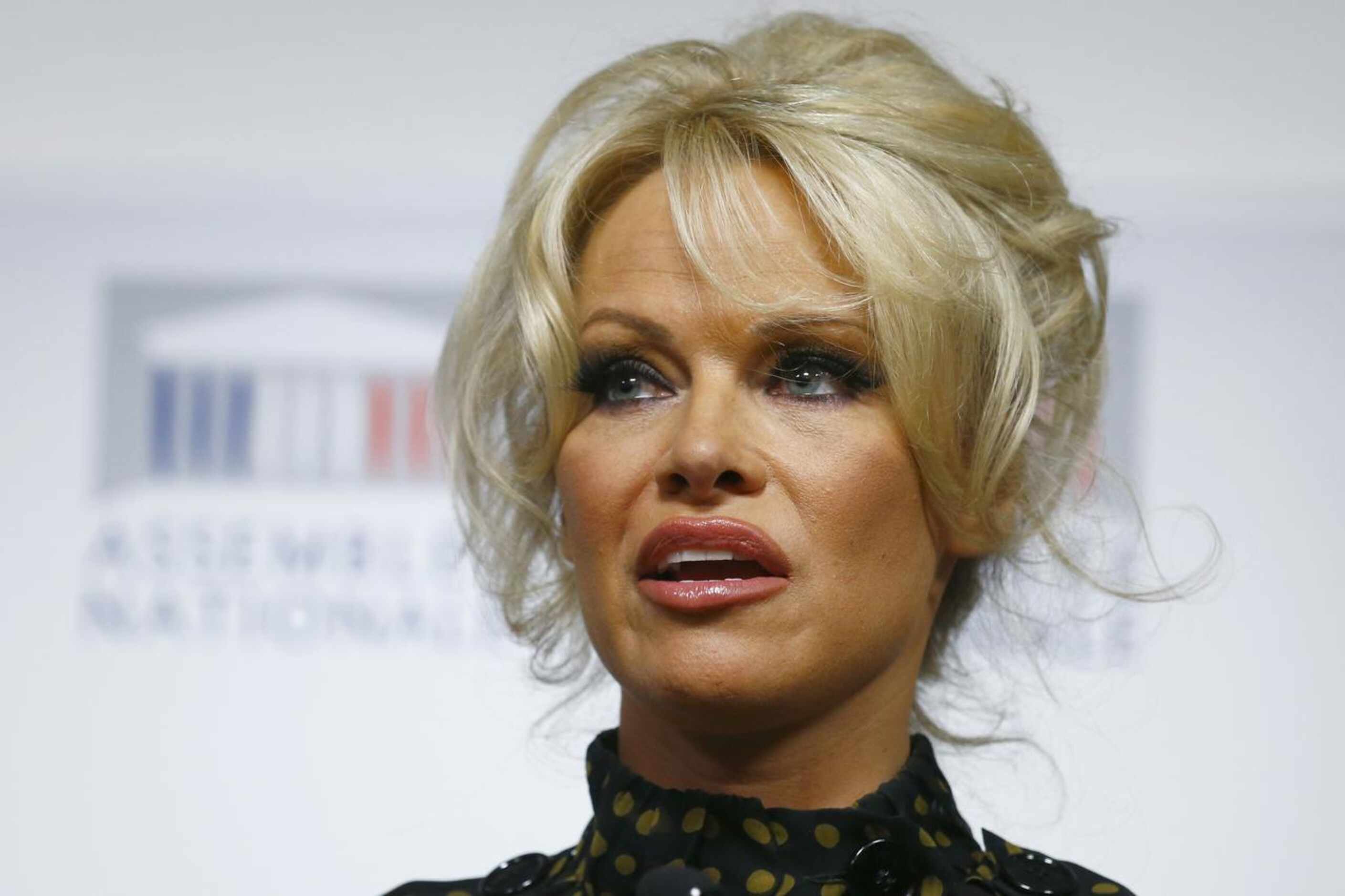 Ex playmate Pamela Anderson ahora empieza cruzada contra la pornografía