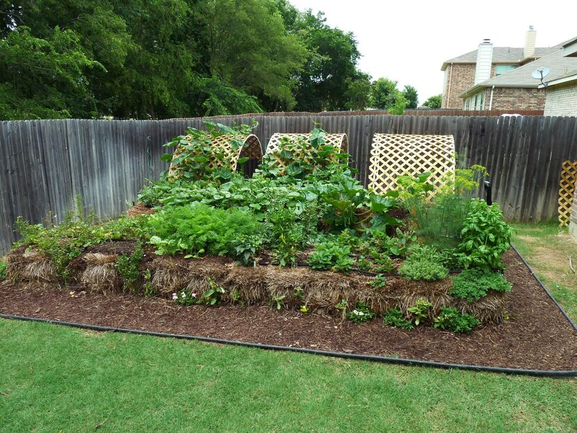 
Stephen Larriva is a fan of straw bale gardening. 
