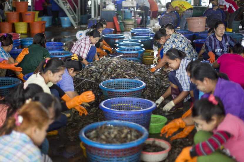 Un grupo de trabajadores del camarón limpian el marisco en un mercado en Mahachai,...