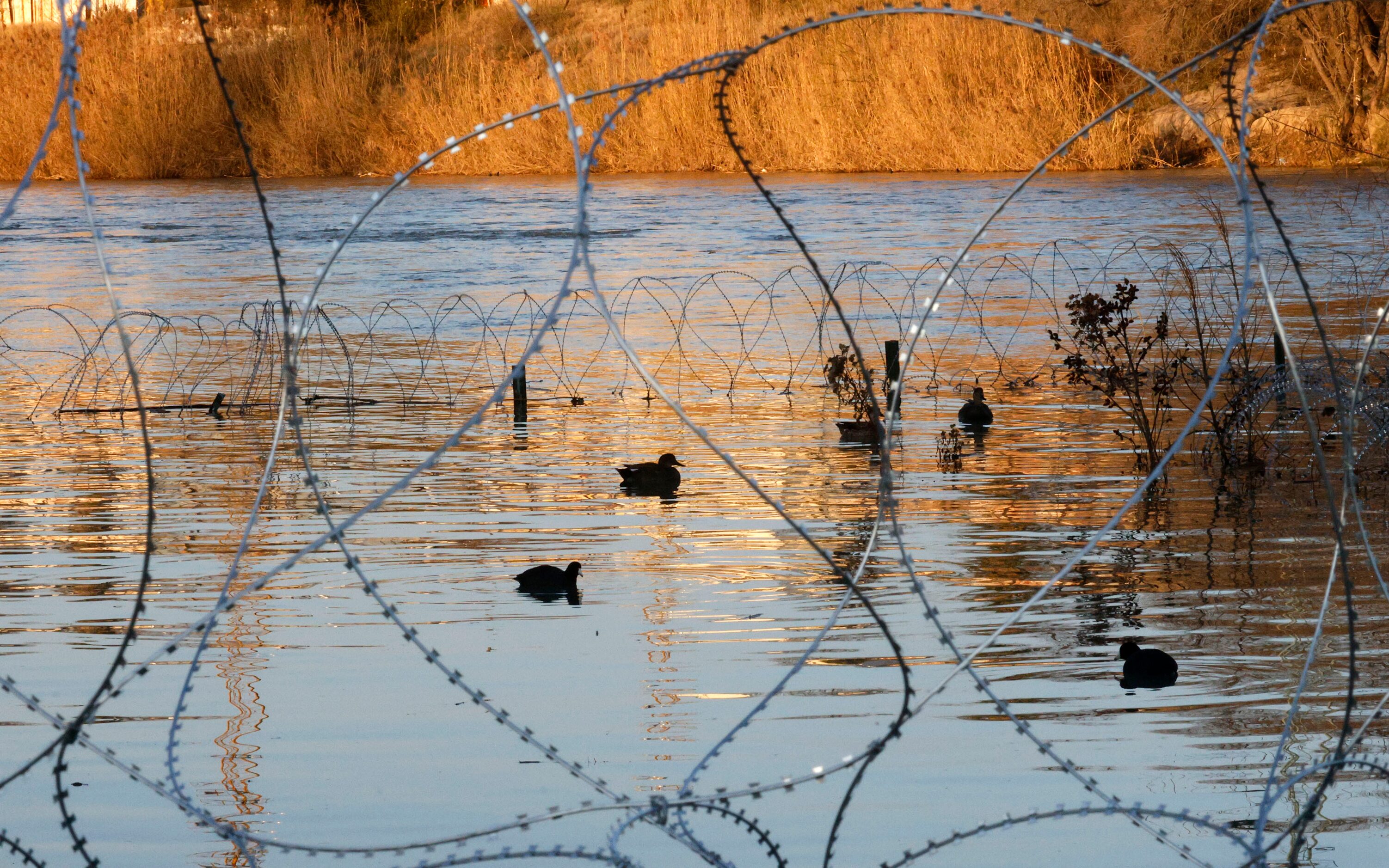 Birds are seen through razor wire along the Rio Grande at Shelby Park, Thursday, Feb. 1,...