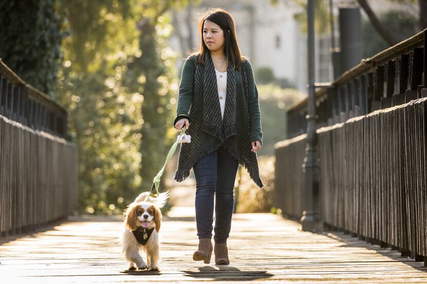 Ebola survivor Nina Pham walks her dog Bentley in Dallas.