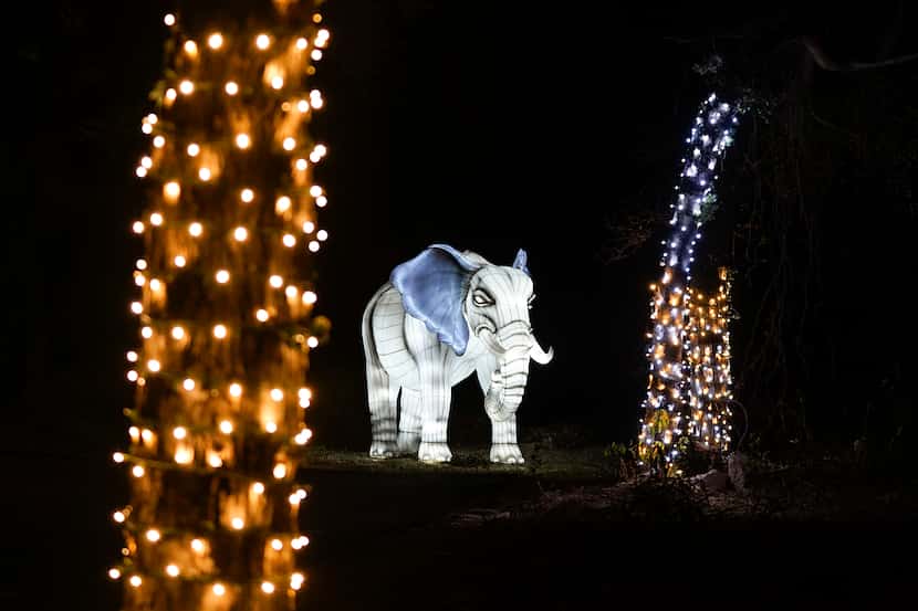 A lantern in the shape of an elephant is seen along the side of the route during Dallas Zoo...