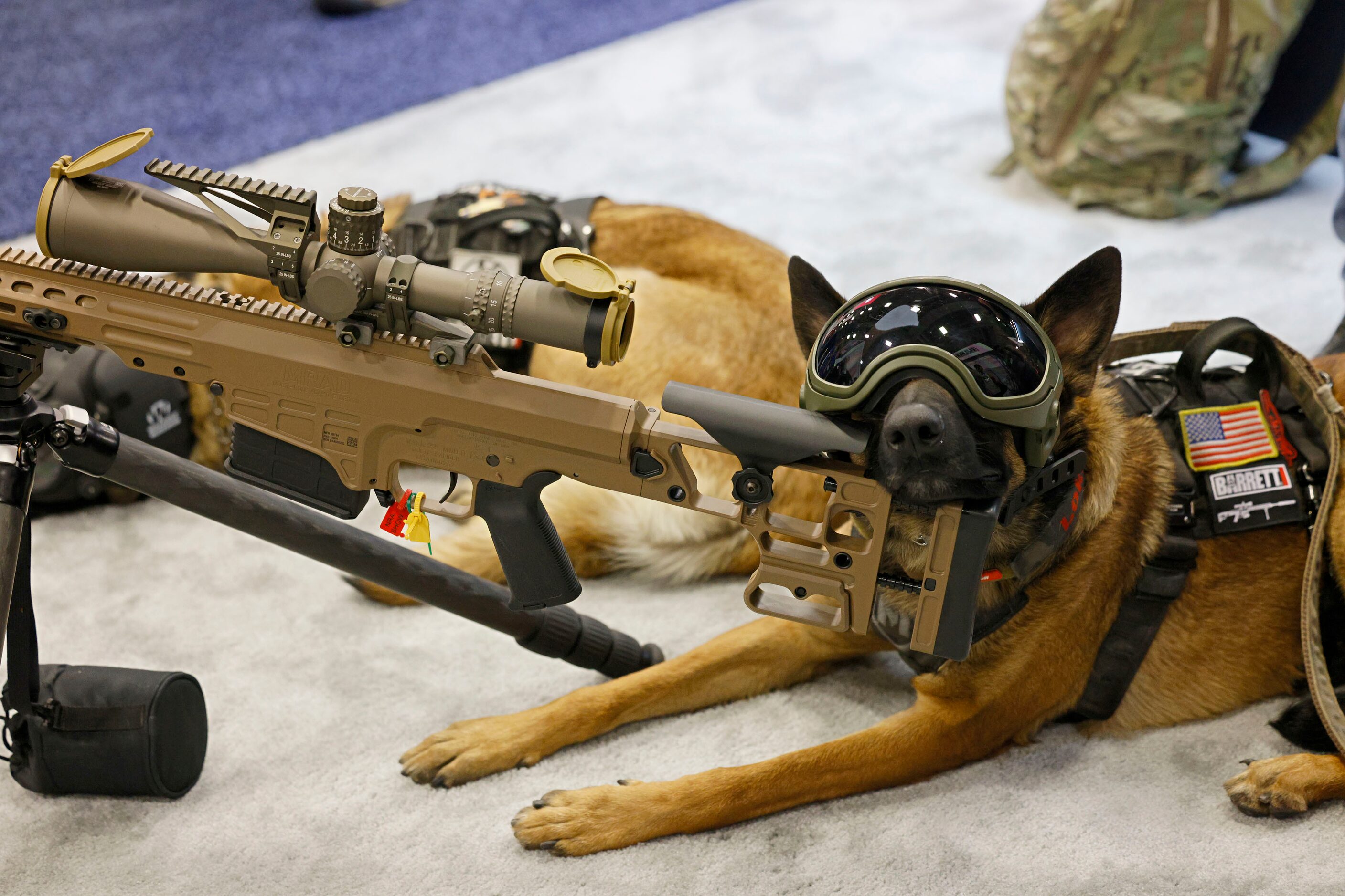 Service dogs Loki, foreground, and Moose, lie down near a Barrett  MK 22 at the booth of...