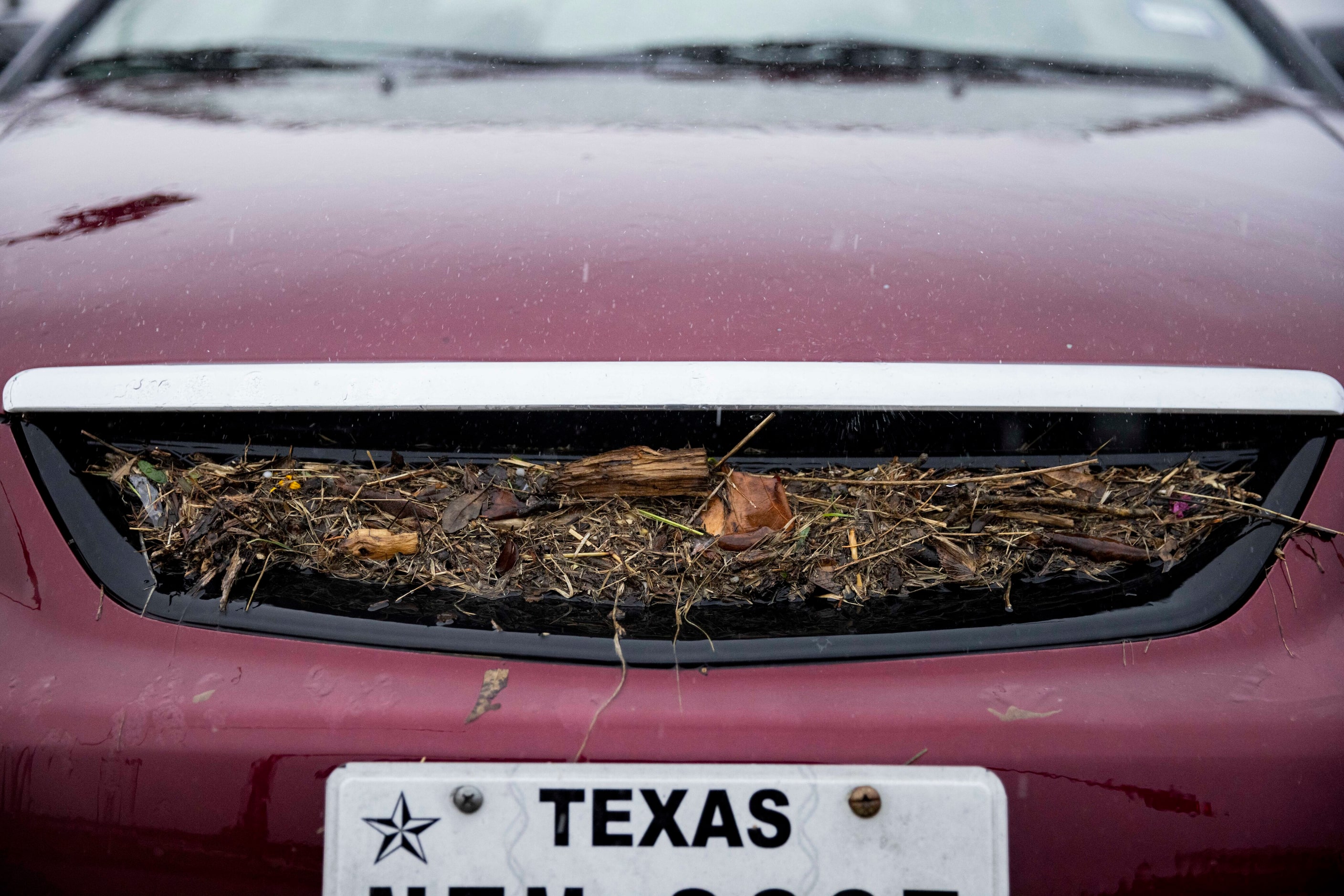 A stalled car sits with foliage in its grill at from the flooded road at Military Parkway...