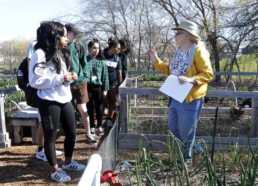 Volunteer Rebecca Brady tours the community gardens with a group of students at the Plano...