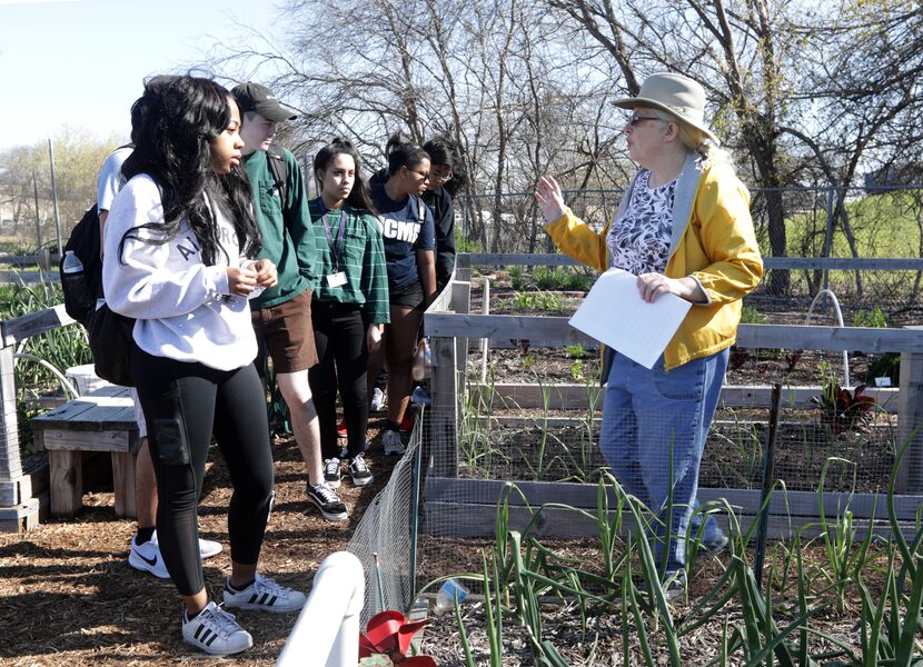 Volunteer Rebecca Brady tours the community gardens with a group of students at the Plano...