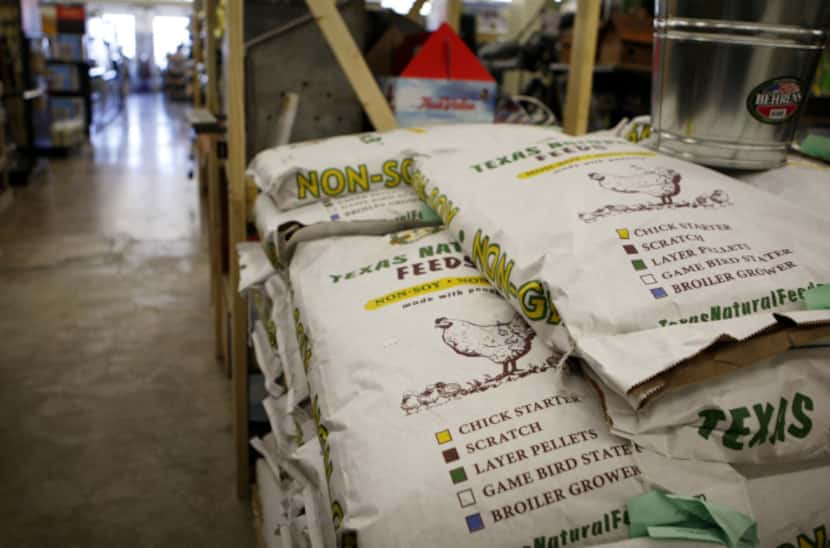 Texas made chicken feed at Gecko Hardware in Northlake Shopping Center