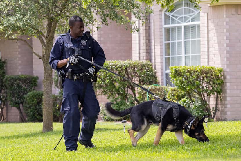 A dog with the Dallas police K-9 unit was put to work around the crime scene Saturday.