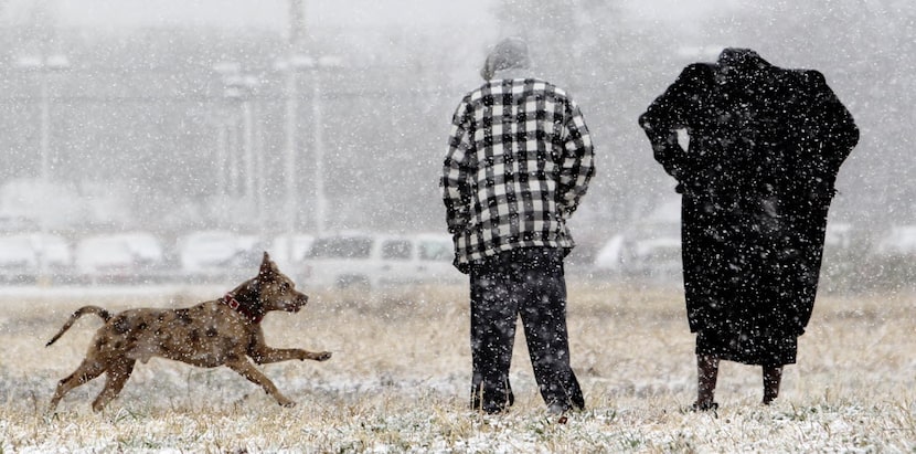 Gary Young, center, and Donte Ollison play with their dog Brian in the snow in a field off...