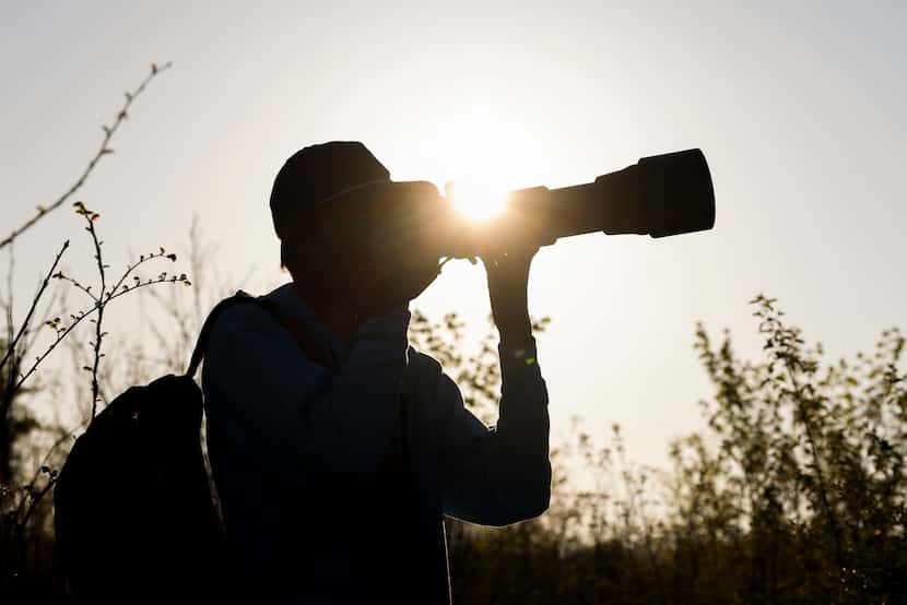 Birdwatcher Kalder Korte, takes a photo of a mourning dove at Harry S Moss Park, on...