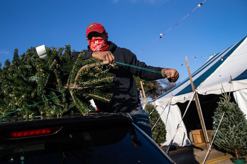 Employee Benjamin Borunda loaded up a tree onto a customer’s Jeep at Patton’s Christmas...